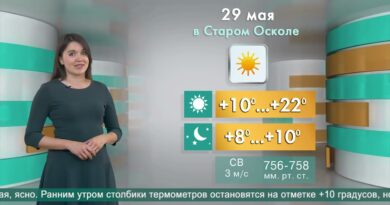 Погода в Старом Осколе на 29 мая