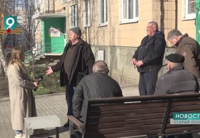 “А у нас во дворе”: старооскольские пенсионеры жалуются на снос беседок во дворе