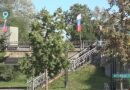 “Рисуй сани летом”: Почта России предлагает окунуться в новогоднее настроение
