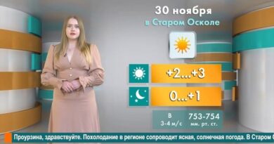 Погода в Старом Осколе на 30 ноября