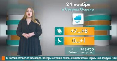Погода в Старом Осколе на 24 ноября