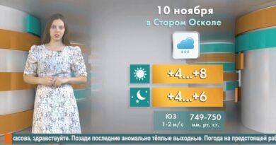 Погода в Старом Осколе на 10 ноября