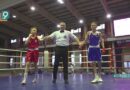«За победу!»: в Губкине прошёл областной турнир по боксу, посвященный участникам СВО
