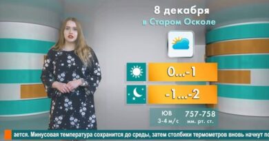 Погода в Старом Осколе на 8 декабря