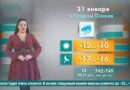 Погода в Старом Осколе на 31 января