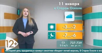 Погода в Старом Осколе на 11 января