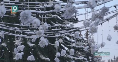 Пенсии и пособия, новые профессии и знаки дорожного движения: в силу вступил ряд федеральных законов