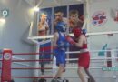 Старооскольские боксеры блестяще выступили на областном чемпионате