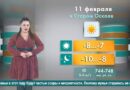 Погода в Старом Осколе на 11 февраля
