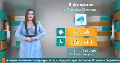 Погода в Старом Осколе на 8 февраля