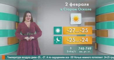 Погода в Старом Осколе на 2 февраля