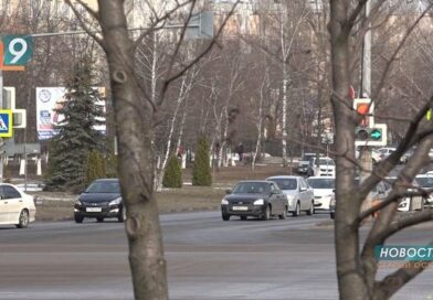 Деньги на ветер: белгородцы потеряли более 11 млн руб., пытаясь купить авто из-за границы