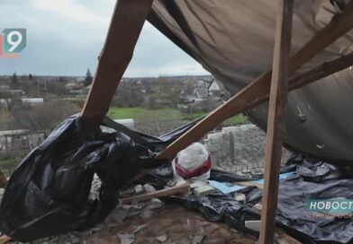 Рухнувшие деревья и улетевшая крыша: в Старом Осколе устраняют последствия непогоды