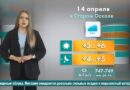 Погода в Старом Осколе на 14 апреля