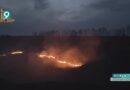 Особый противопожарный режим введен на территории Белгородской области