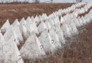 В Белгороде вынесены первые приговоры за хищения при строительстве оборонительных сооружений