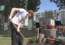 Лето по-взрослому: 8,5 тыс. старооскольских школьников трудоустроят в этом году