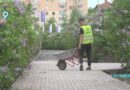 Городская среда становится комфортнее: в округе благоустраивают сразу 4 общественных пространства