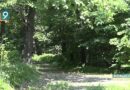 В Белгородской области подсчитали количество животных и птиц, на которых возможна охота