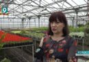 Оскольчанка признана «Человеком года»: Галина Данилина получила престижную премию «Парки России»