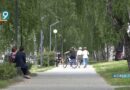 Белгородским работодателям компенсируют до 200 тыс. руб. за рабочие места для людей с инвалидностью