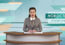 Один человек погиб и двое ранены в результате новых атак ВСУ на Белгородчину Один человек погиб и двое ранены в результате новых атак ВСУ на Белгородчину