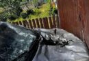 Два мирных жителя получили ранения в результате удара дрона ВСУ по автомобилю
