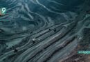 Новости Старого Оскола от 17 июля
