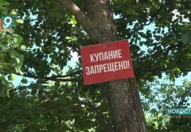 «Смертельно опасный отдых»: МЧС предупреждает о рисках купания на неофициальных пляжах