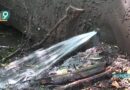 «Живая и мёртвая вода»: зловонные нечистоты продолжают отравлять реку Оскол