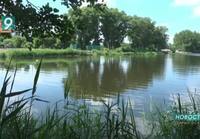 Первая с начала купального сезона гибель на воде: в Старом Осколе утонул 14-летний подросток