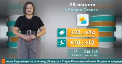 Погода в Старом Осколе на 28 августа