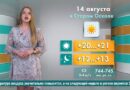 Погода в Старом Осколе на 14 августа