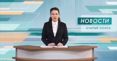 Над Старооскольским округом за минувшие сутки сбиты 10 беспилотников