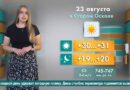 Погода в Старом Осколе на 23 августа