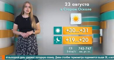 Погода в Старом Осколе на 23 августа