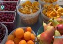 Рейд по местам несанкционированной торговли: что и где можно продавать без штрафа?