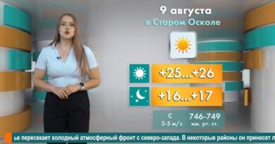 Погода в Старом Осколе на 9 августа