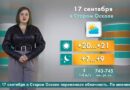 Погода в Старом Осколе на 17 сентября