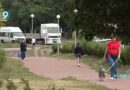 В Старом Осколе осудили местного жителя, обещавшего за деньги помочь с получением прав