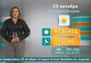 Погода в Старом Осколе на 25 октября