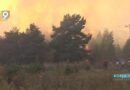 Особый противопожарный режим в лесах Белгородчины отменен