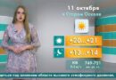 Погода в Старом Осколе на 11 октября