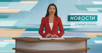Двое погибших, 11 раненых — жертвы новых атак ВСУ на Белгородскую область Двое погибших, 11 раненых — жертвы новых атак ВСУ на Белгородскую область