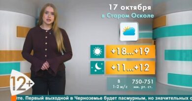Погода в Старом Осколе на 17 октября