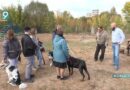 Депутаты Старого Оскола: работа на местах – главный приоритет Депутаты Старого Оскола: работа на местах – главный приоритет